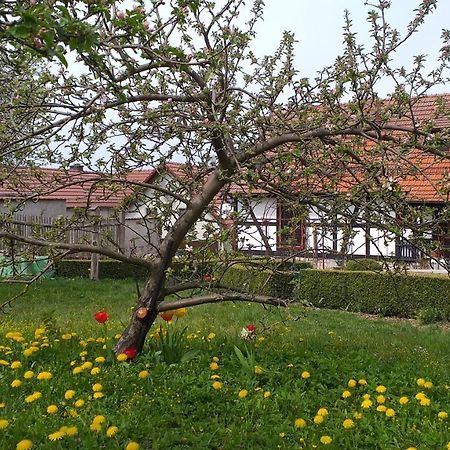 Pension Toepferhof Bad Berka Zewnętrze zdjęcie