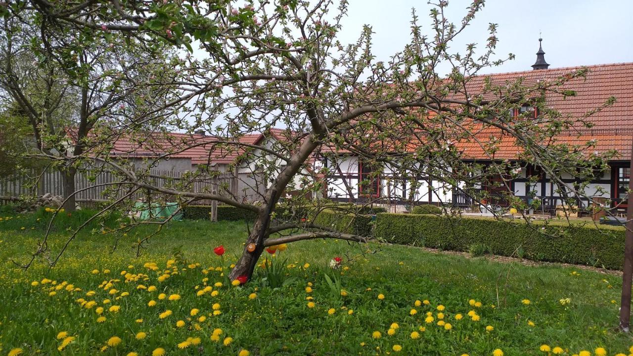 Pension Toepferhof Bad Berka Zewnętrze zdjęcie