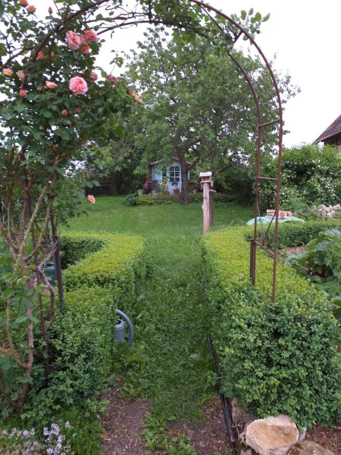 Pension Toepferhof Bad Berka Zewnętrze zdjęcie